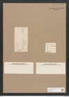 Navicula sp. (de-Toni-Nr.: Genus 1, Species 1504 ?) Zeichnungen Sammlung Grunow Nr. 1599 (NHMW-BOT-W0368145)